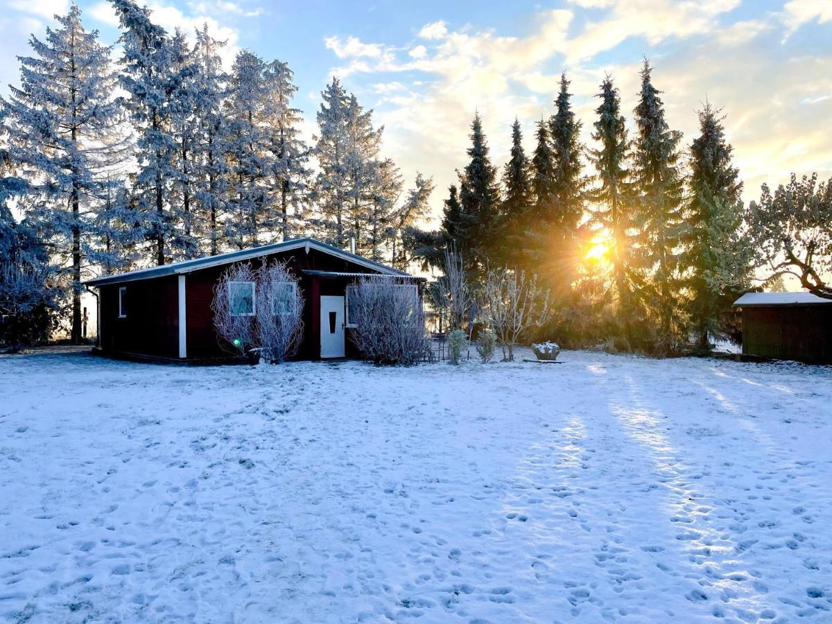 Landhaus Mit Pool, Bungalow In Der Natur Hohenbollentin 外观 照片