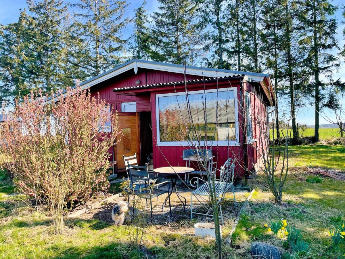 Landhaus Mit Pool, Bungalow In Der Natur Hohenbollentin 外观 照片