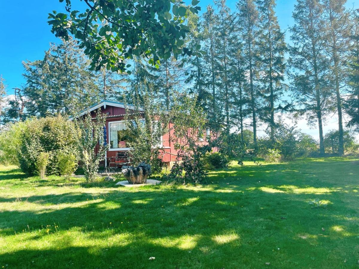 Landhaus Mit Pool, Bungalow In Der Natur Hohenbollentin 外观 照片