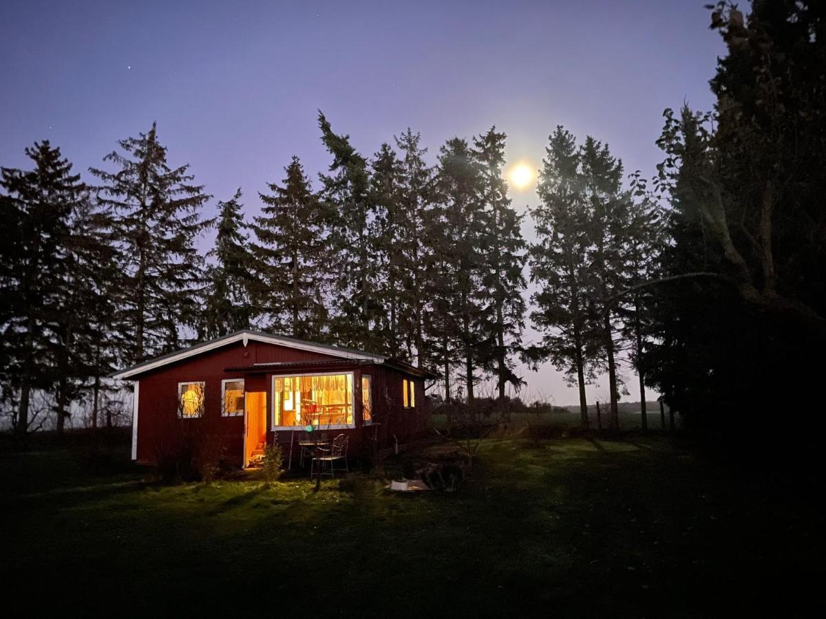 Landhaus Mit Pool, Bungalow In Der Natur Hohenbollentin 外观 照片